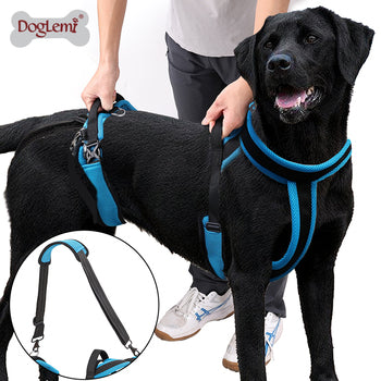 Adjustable No-Pull Dog Harness
